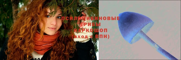 соль курить ск Тайга