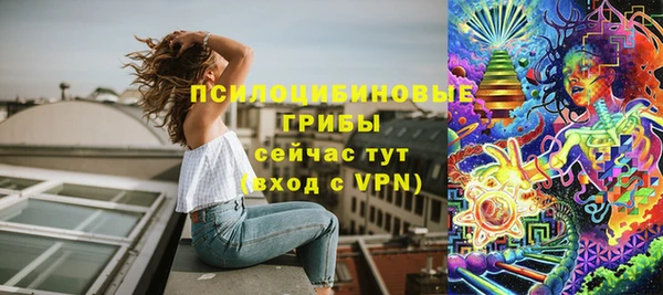 соль курить ск Тайга