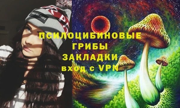 соль курить ск Тайга