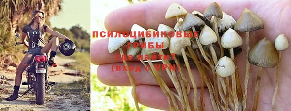 спайс Магас