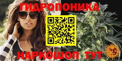 Альфа ПВП Бугуруслан