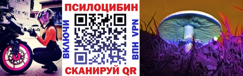 Галлюциногенные грибы Psilocybine cubensis  купить наркотики сайты  кракен зеркало  Обнинск 