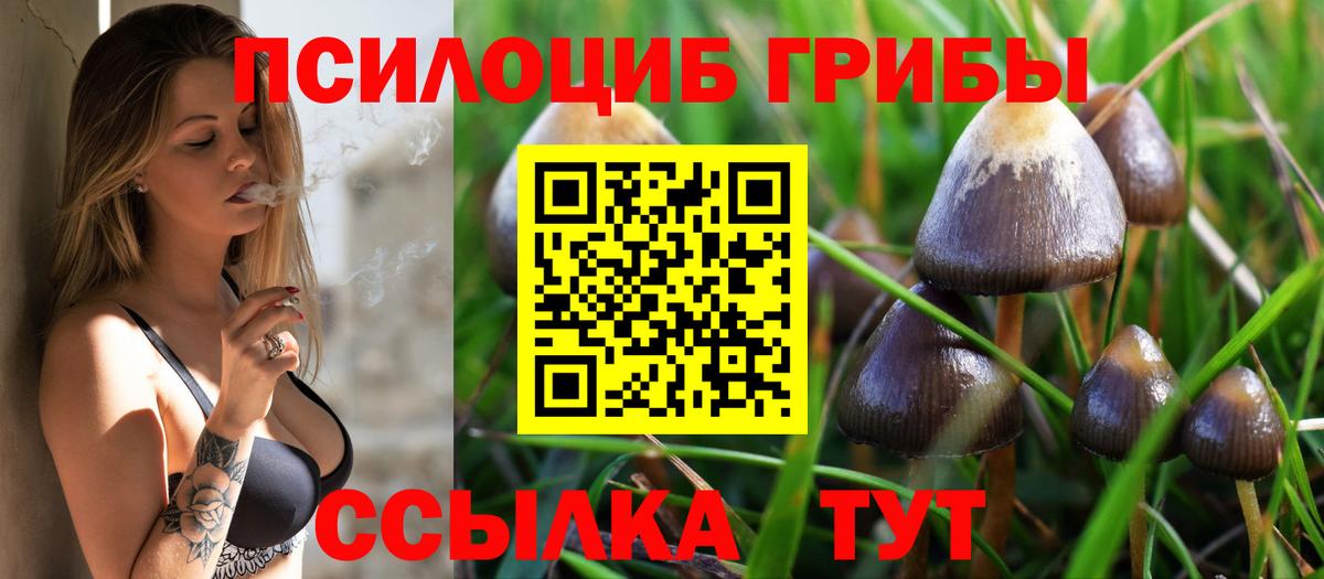 закладки  Псилоцибиновые грибы прущие грибы  Вход с VPN  Обнинск  Галлюциногенные грибы мицелий 
